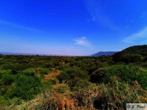 Landschaft