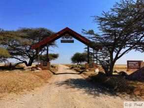 Serengeti